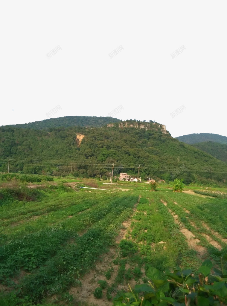乡村田野风景摄影png免抠素材_新图网 https://ixintu.com 乡村田野 仙山 农家菜地 奇石 摄影 旅游摄影 石山顶 风景