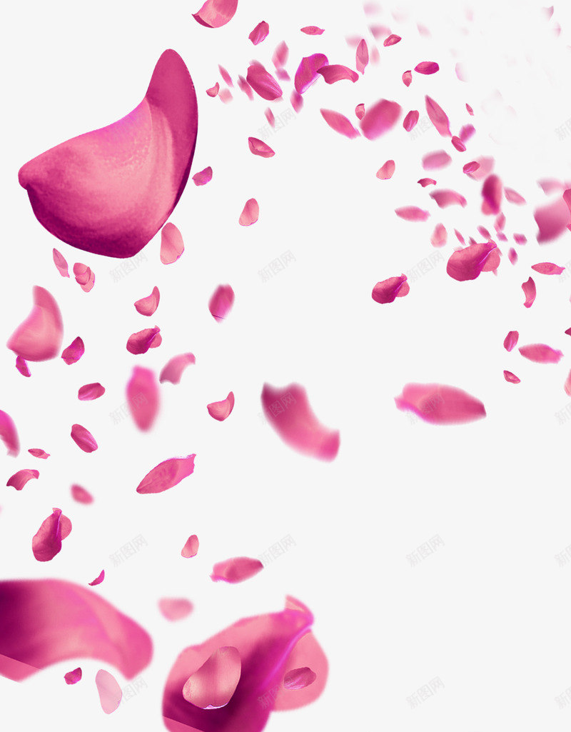粉色桃花花瓣png免抠素材_新图网 https://ixintu.com 桃花 粉色 花瓣 高清