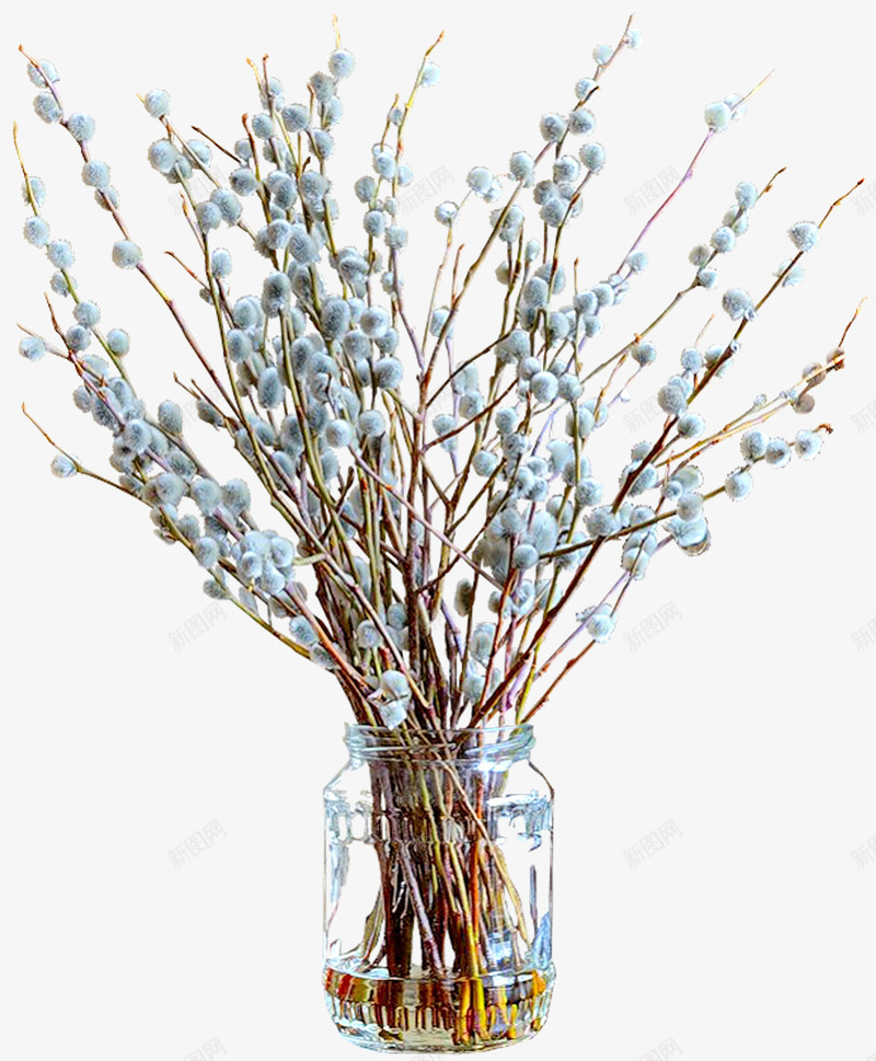 小清新鲜花png免抠素材_新图网 https://ixintu.com 个性 居家 摆件 文艺 花瓶