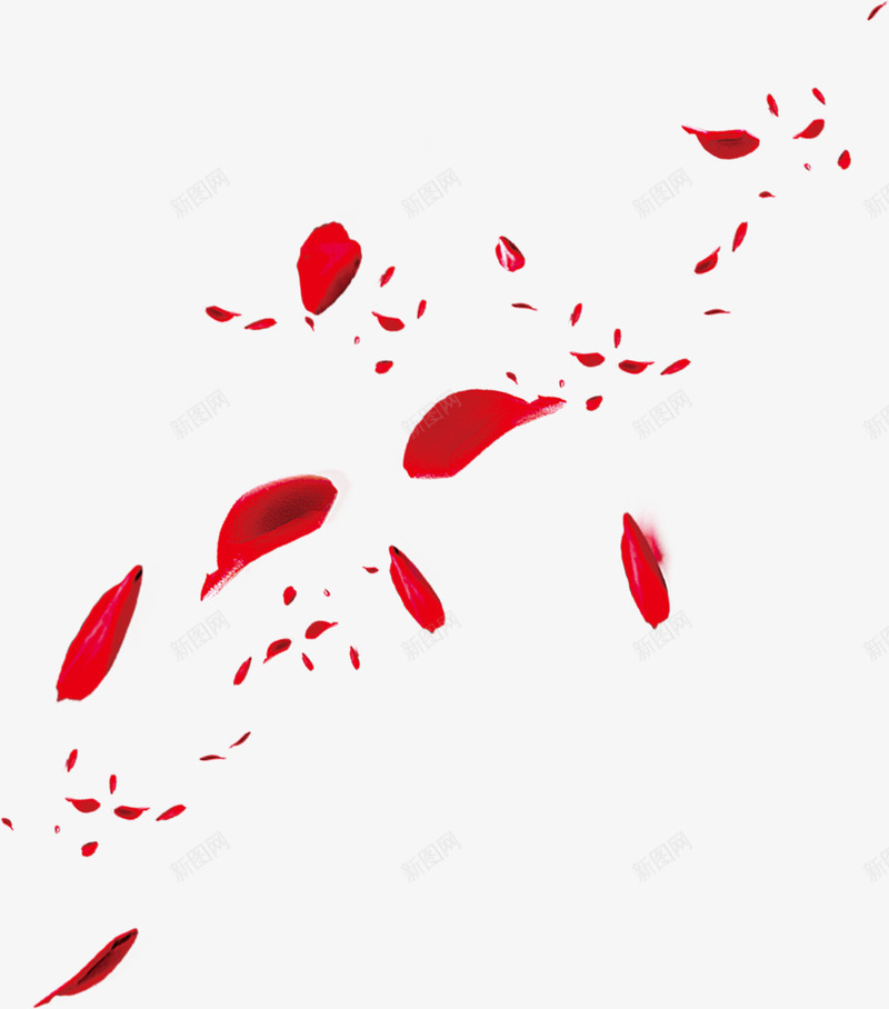 玫瑰花花瓣飘落png免抠素材_新图网 https://ixintu.com 婚礼 玫瑰花 红色 飘落