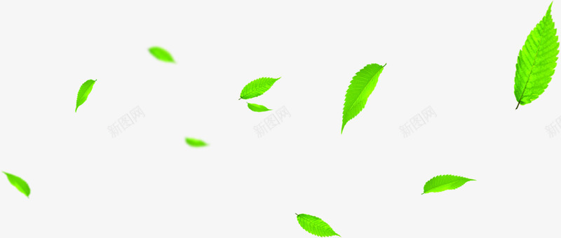 绿色随风飘扬的树叶合成效果png免抠素材_新图网 https://ixintu.com 合成 效果 树叶 绿色 飘扬