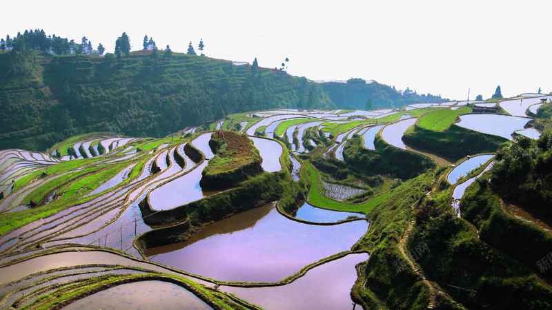 贵州加榜梯田一png免抠素材_新图网 https://ixintu.com 名胜古迹 旅游风景 著名建筑