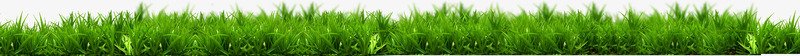 黄绿色春季植物树叶草丛png免抠素材_新图网 https://ixintu.com 春季 树叶 植物 草丛 黄绿色