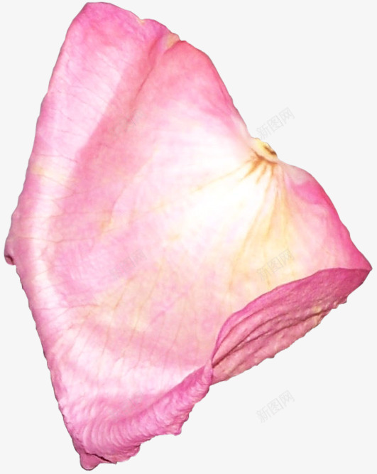 花瓣贴画玫瑰花瓣png免抠素材_新图网 https://ixintu.com ps花瓣素材 动态的花瓣 玫瑰花瓣psd素材 碎花瓣 花瓣图形 花瓣贴画