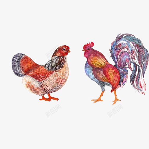 鸡年装饰片png免抠素材_新图网 https://ixintu.com 公鸡 彩画 母鸡 装饰画