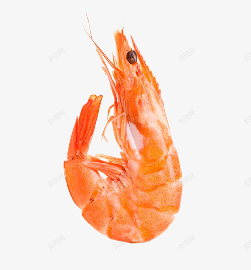 实物油焖虾png免抠素材_新图网 https://ixintu.com 免扣 免费下载 小龙虾 椒盐虾 油焖虾 海鲜 美食 菜 虾 食物