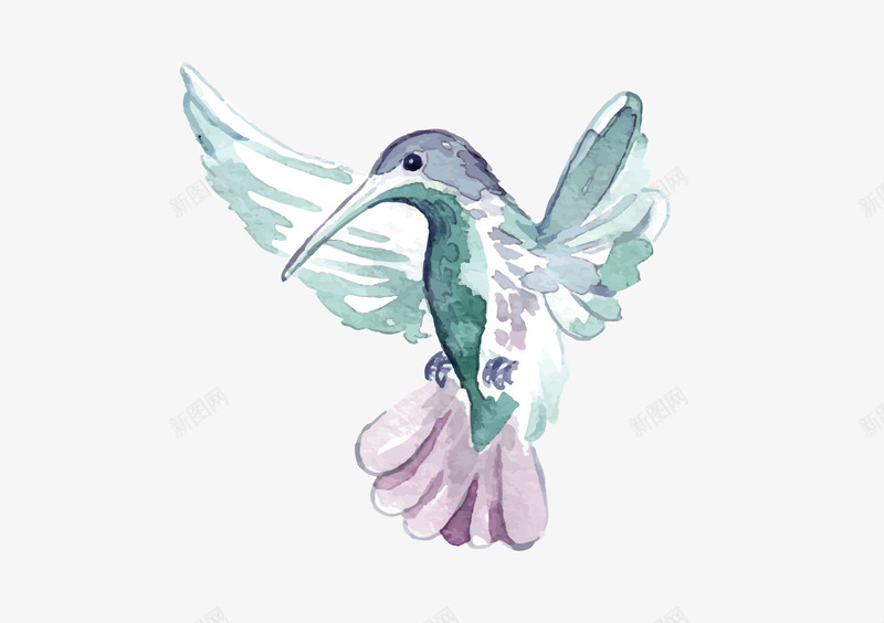 卡通手绘喜鹊装饰插画矢量图ai免抠素材_新图网 https://ixintu.com 卡通喜鹊 喜鹊 喜鹊装饰插画 报喜 报喜鸟 水彩 鸟类 矢量图