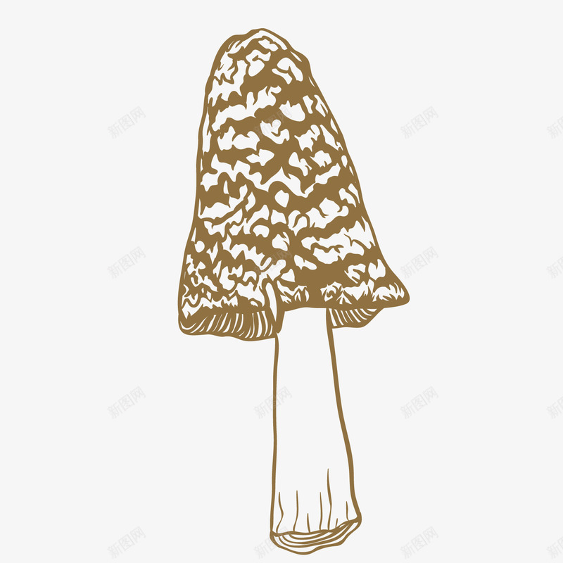 卡通羊肚菌矢量图ai免抠素材_新图网 https://ixintu.com AI免抠图 卡通设计 平面设计 手绘设计 植物设计 羊肚菌 蘑菇设计 矢量图