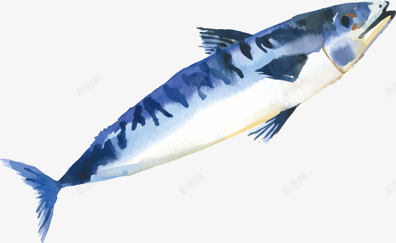 手绘蓝色鱼png免抠素材_新图网 https://ixintu.com 手绘 水产 水彩 海鲜 蓝色 鱼