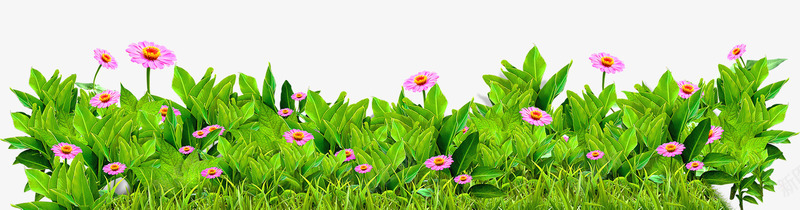 花psd免抠素材_新图网 https://ixintu.com 花小花花朵花花草草小花草小草坪