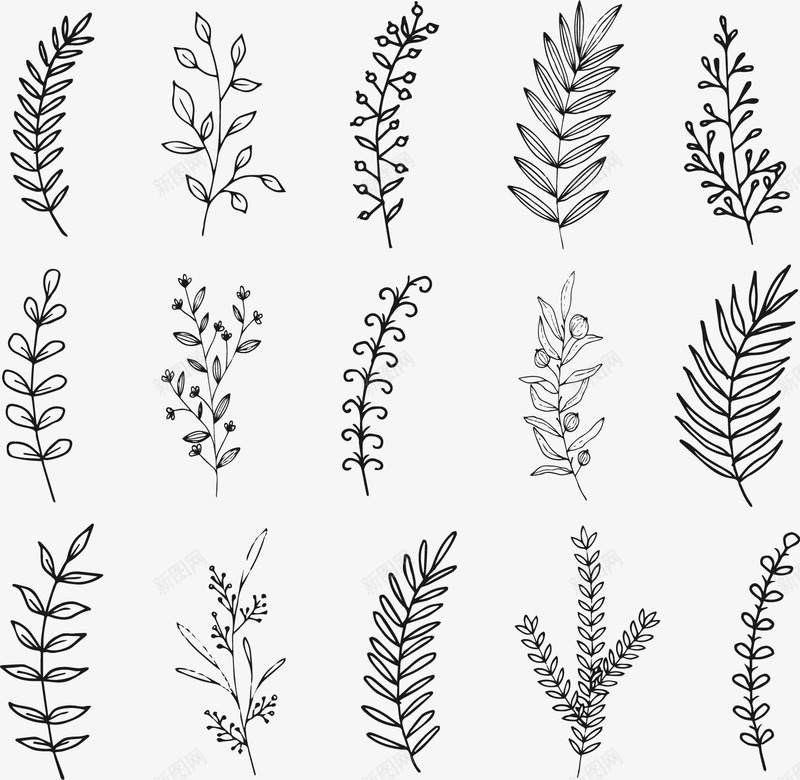 手绘草本植物矢量图ai免抠素材_新图网 https://ixintu.com 手绘 植物 简笔画 矢量图
