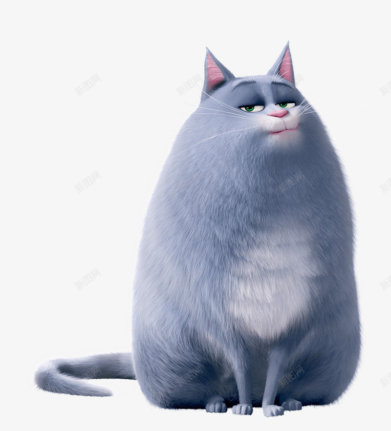 高傲的猫咪灵动眼神可爱萌萌哒png免抠素材_新图网 https://ixintu.com 卡通 可爱 猫咪 高傲