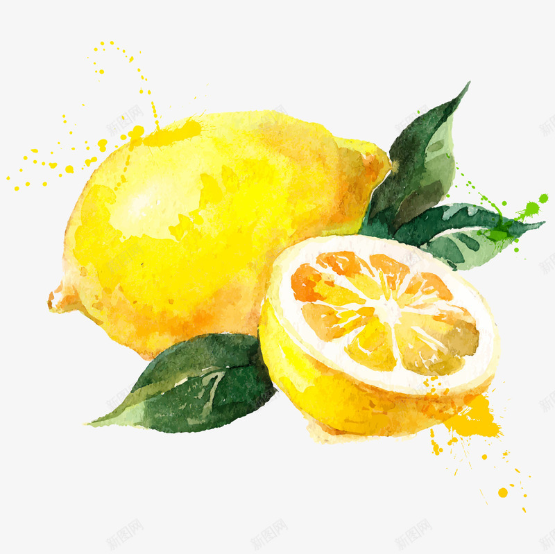 手绘水彩柠檬png免抠素材_新图网 https://ixintu.com 冰块 冷饮 切片 夏天 手绘画 柠檬 柠檬汁 水果 清凉 清新 绿色 薄荷 薄荷叶子 饮料