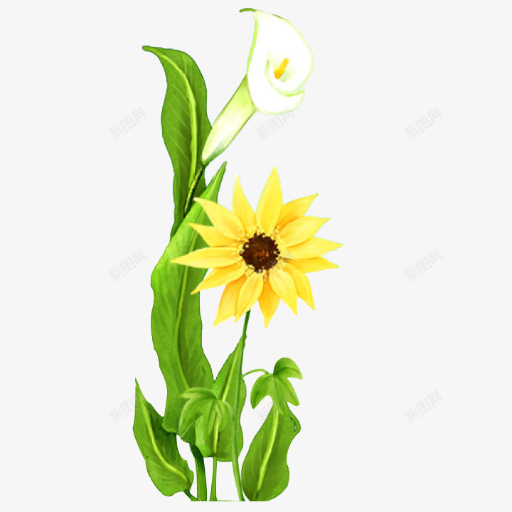 花纹png免抠素材_新图网 https://ixintu.com 小天使 彩带 相框 矢量花纹 花 花纹 边框
