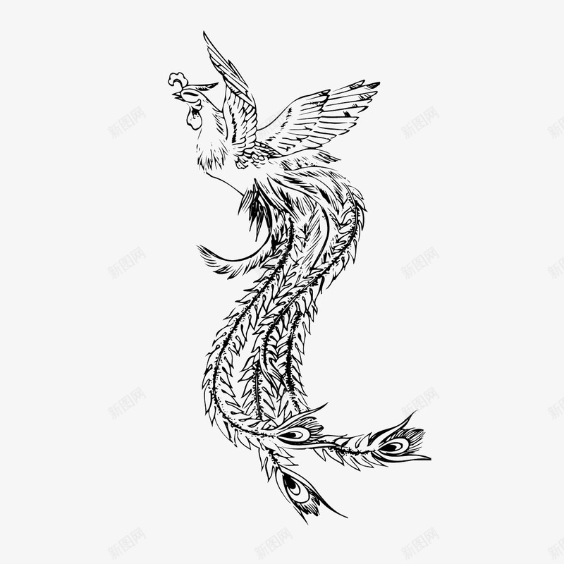 中国风纹样png免抠素材_新图网 https://ixintu.com 中国风符号 中国风纹样 中式传统图案 凤凰白描 凤纹 吉祥纹样 线描插画
