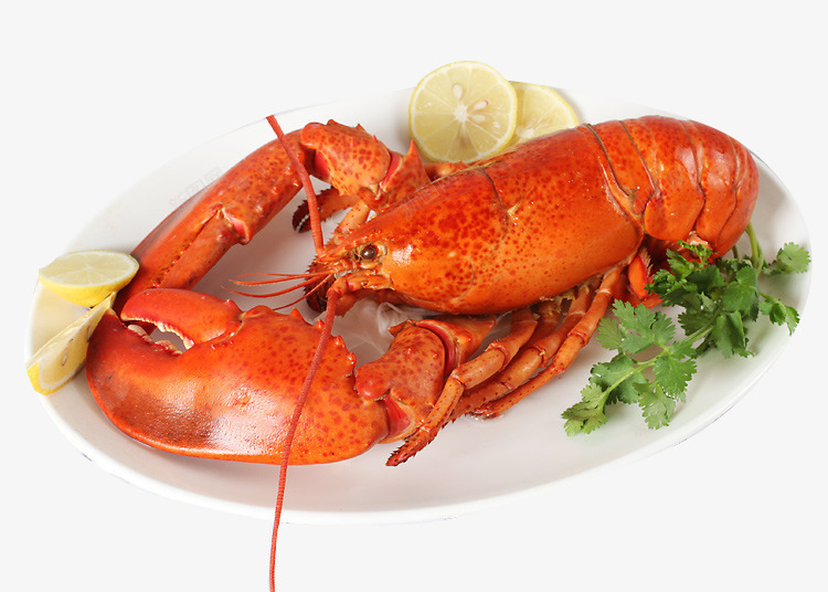 一只大虾png免抠素材_新图网 https://ixintu.com 大龙虾 海鲜 生鲜 食物