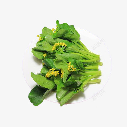 一盘子新鲜绿色安全开花菜心摄影png免抠素材_新图网 https://ixintu.com 一盘子新鲜绿色安全开花菜心摄影插图免抠免费下载 健康 广东菜心 油菜 盘子 美味 菜心 菜花 菜苔 食材 饮食