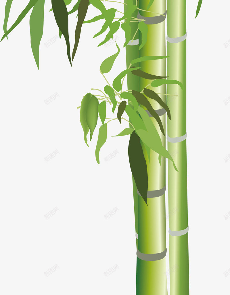 清明节手绘竹子矢量图ai免抠素材_新图网 https://ixintu.com 中国风 国画 手绘 水彩 竹叶 竹子 竹林 绿色 风景 矢量图