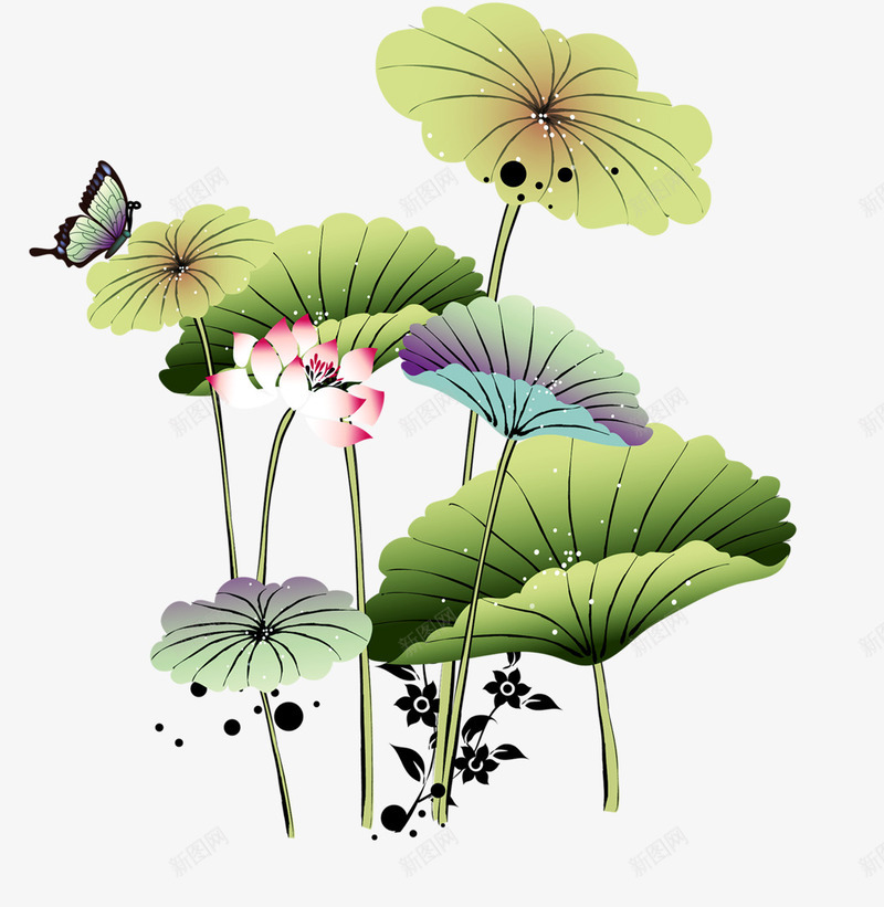 莲花荷花png免抠素材_新图网 https://ixintu.com 中国情 中国水墨画 中国风水 墨水 墨端午 夏荷 水墨画 端午 荷花 莲花湖泊背景图片