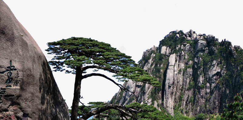 黄山png免抠素材_新图网 https://ixintu.com 大好河山 安徽黄山 旅游景区 旅游胜地 著名景点 迎客松 青山绿水 风光绮丽 风景名胜 黄山