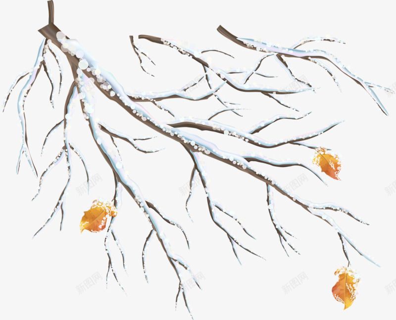 雪天的树枝png免抠素材_新图网 https://ixintu.com 下雪 下雪标志 冬天 冬季 户外 暖冬 枝丫 枝头 枝头积雪 枯枝 枯树 树枝 树枝横 连枝 雪地