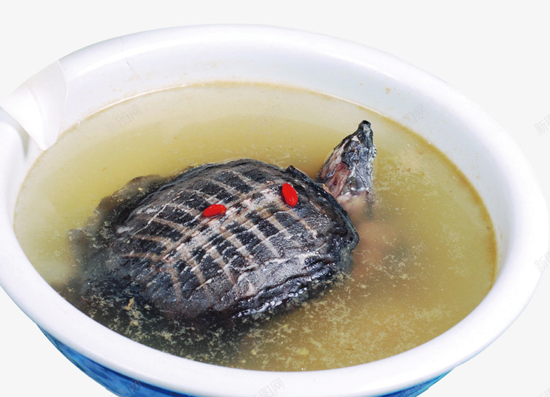 甲鱼高汤png免抠素材_新图网 https://ixintu.com 汤 甲鱼 食品 餐饮