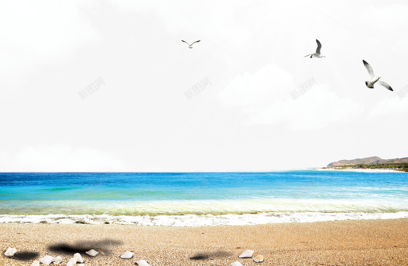 蔚蓝大海边的美丽景色png免抠素材_新图网 https://ixintu.com 夏日旅行 大海 扑打的浪花 沙滩 浪花 海鸥 翱翔的海鸥 蔚蓝 蔚蓝的海水浪漫的海边背景 贝壳 风景优美