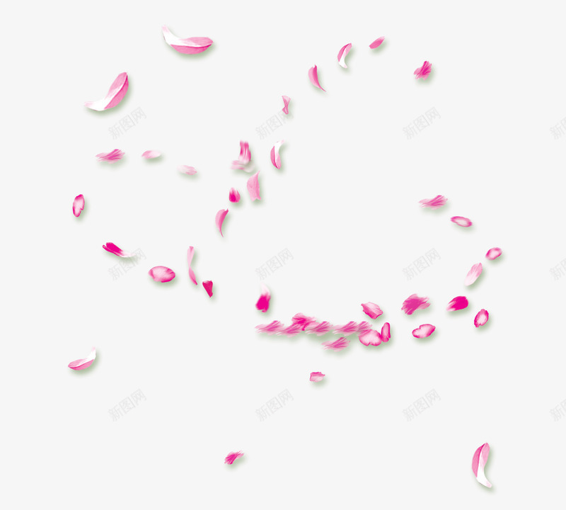 情节节玫瑰花瓣漂浮png免抠素材_新图网 https://ixintu.com 婚纱照花瓣 玫瑰花花瓣 粉红素材 节日 飘落装饰 鲜花