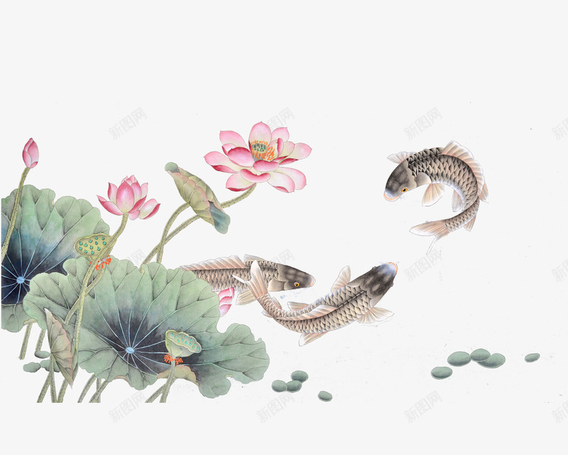 中国画png免抠素材_新图网 https://ixintu.com 浮萍 矢量素材 竹子荷花荷叶满池塘 荷叶 荷花 莲蓬 鲤鱼