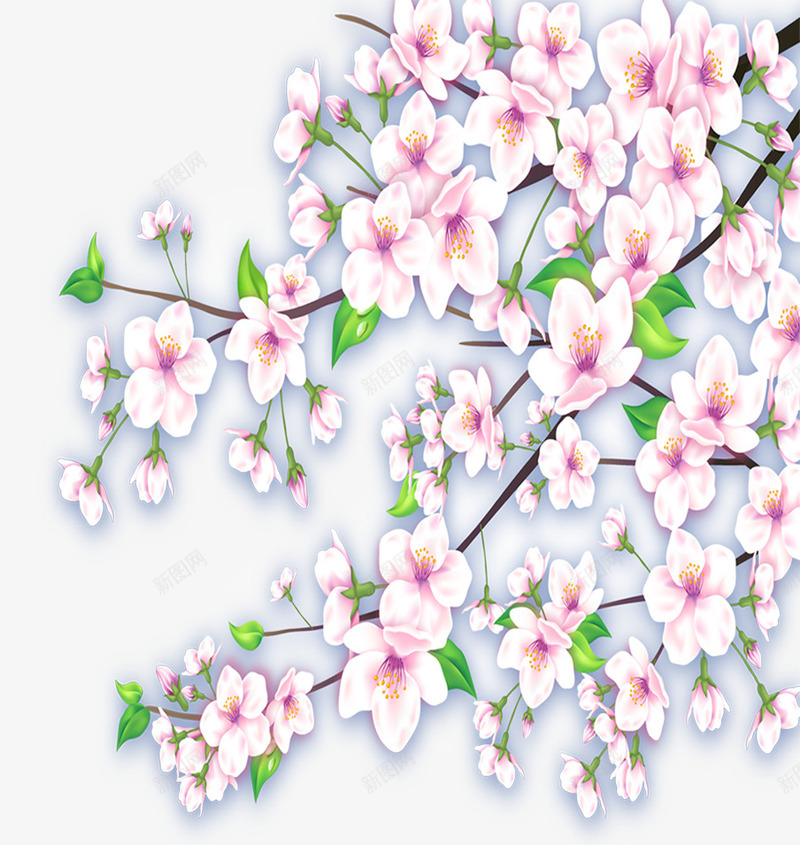 摄影手绘挑花效果图png免抠素材_新图网 https://ixintu.com 挑花 摄影 效果图