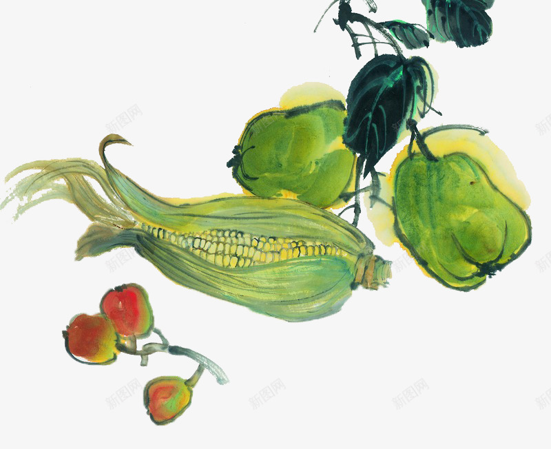 佛手瓜玉米和樱桃静物画png免抠素材_新图网 https://ixintu.com 中国风 佛手瓜 樱桃 玉米 色彩 设色国画 静物画