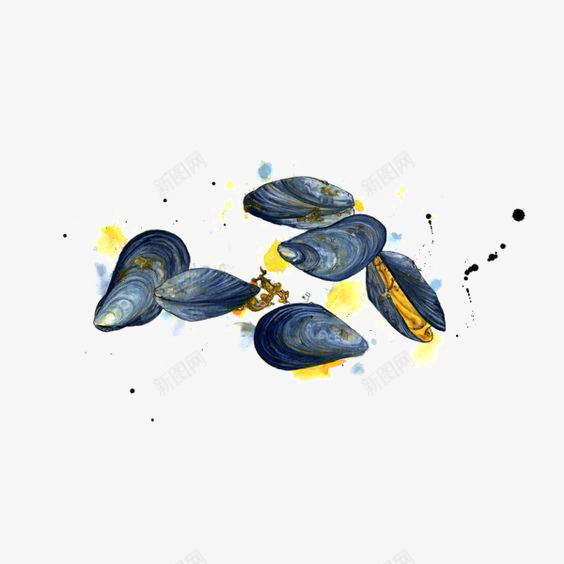 水彩海虹png免抠素材_新图网 https://ixintu.com 创意 卡通 扇贝 海鲜 清蒸海虹