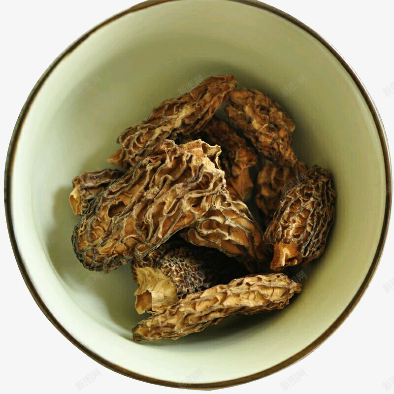 野生羊肚菌png免抠素材_新图网 https://ixintu.com 土特产 干货 植物 羊肚菌 菌类 野生 食用菌