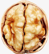 核桃坚果食物营养png免抠素材_新图网 https://ixintu.com 坚果 核桃 桃仁 饱满 油亮 营养 食物