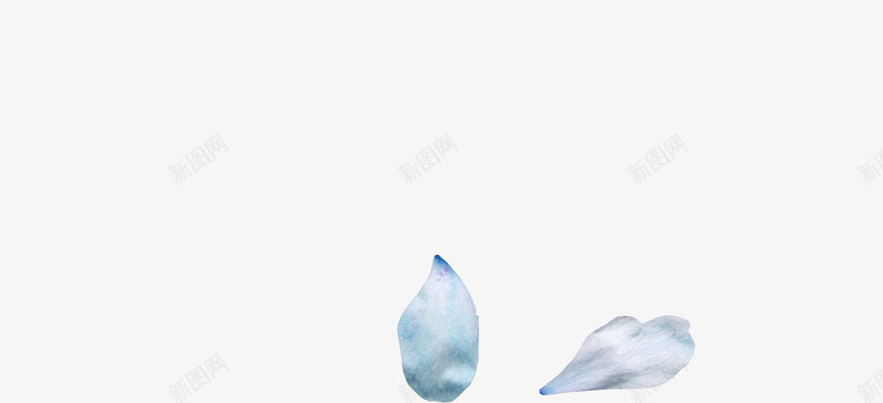蓝色花瓣png免抠素材_新图网 https://ixintu.com 漂浮花瓣 花瓣