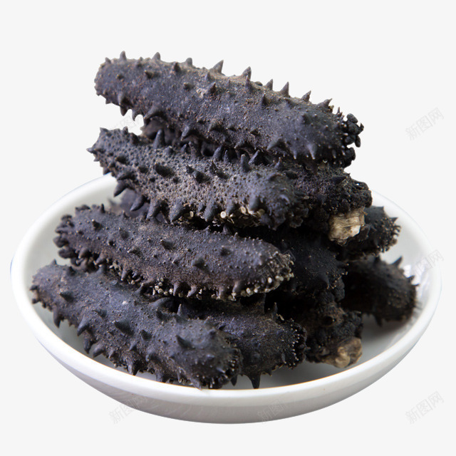 海参png免抠素材_新图网 https://ixintu.com 产品实物图 抗肿瘤药材 海参 海洋棘皮动物 药材