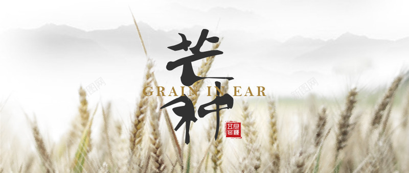 水墨风芒种首图psd_新图网 https://ixintu.com 中国风 水墨 节气 芒种