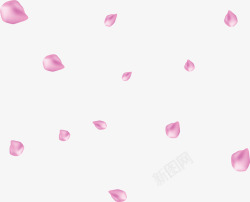美丽粉红飘落花瓣矢量图素材
