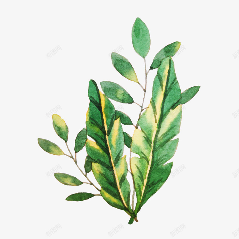清新小花卡通插画6png免抠素材_新图网 https://ixintu.com 万物复苏 中国风 中式 卡通 古典 古风 叶子 文艺 春天 水墨 水彩 清新 花朵 花瓣 飘逸 鲜花