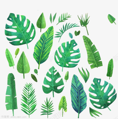 绿色植物叶子装饰图标图标