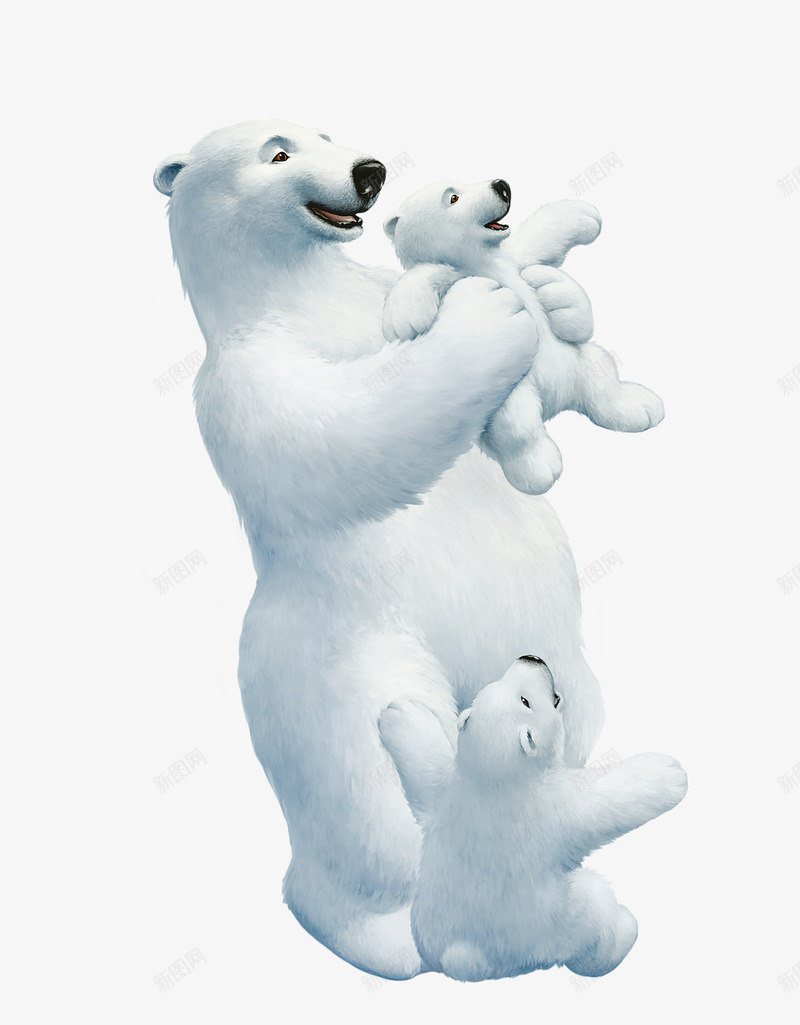 北极熊一家png免抠素材_新图网 https://ixintu.com 北极动物 北极熊 北极熊png 北极熊一家 北极熊免抠 玩耍 白熊 白色毛皮