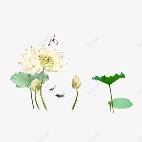 荷塘月色png免抠素材_新图网 https://ixintu.com 意境 景色 荷叶 荷花