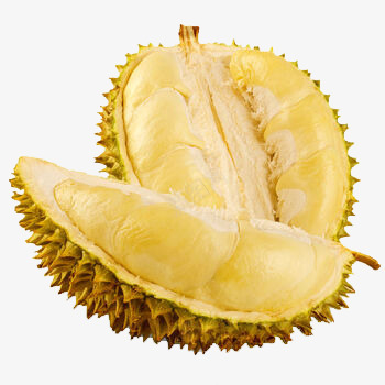 分开的榴莲png免抠素材_新图网 https://ixintu.com 产品实物 榴莲 水果 生鲜