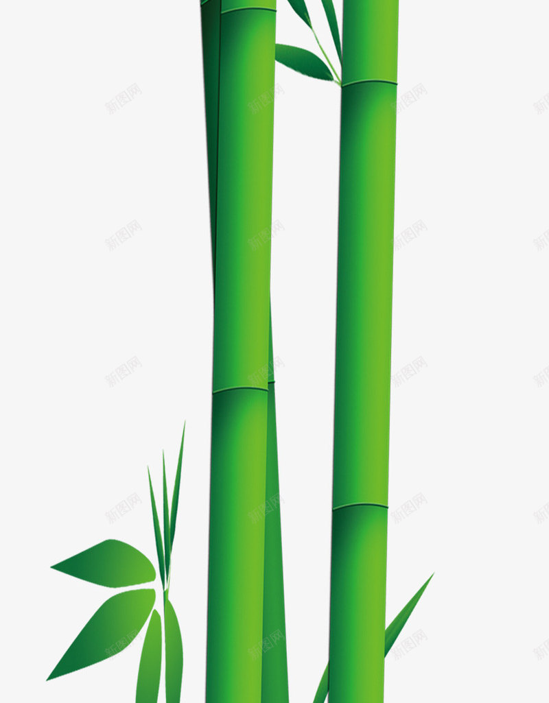 端午节竹子竹叶竹筒png免抠素材_新图网 https://ixintu.com 端午节 竹叶 竹子 竹筒