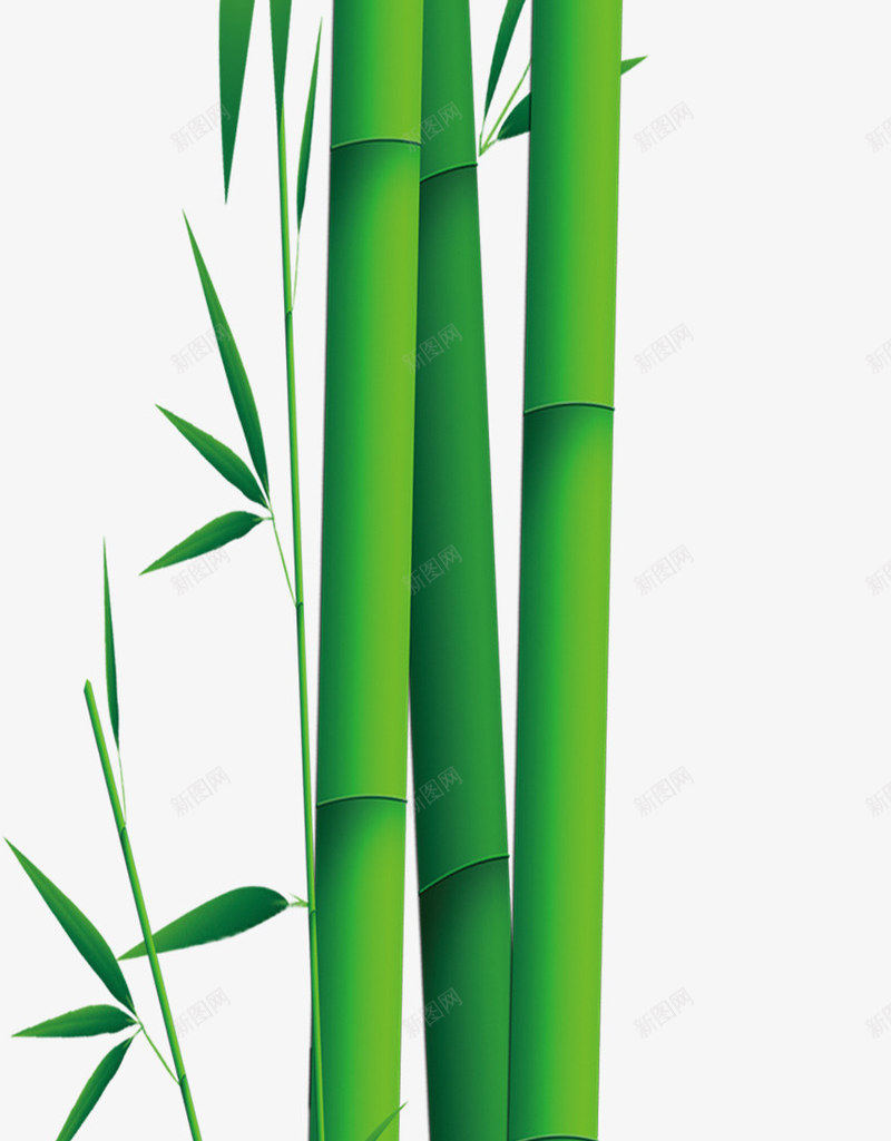 端午节竹子竹叶竹筒png免抠素材_新图网 https://ixintu.com 端午节 竹叶 竹子 竹筒