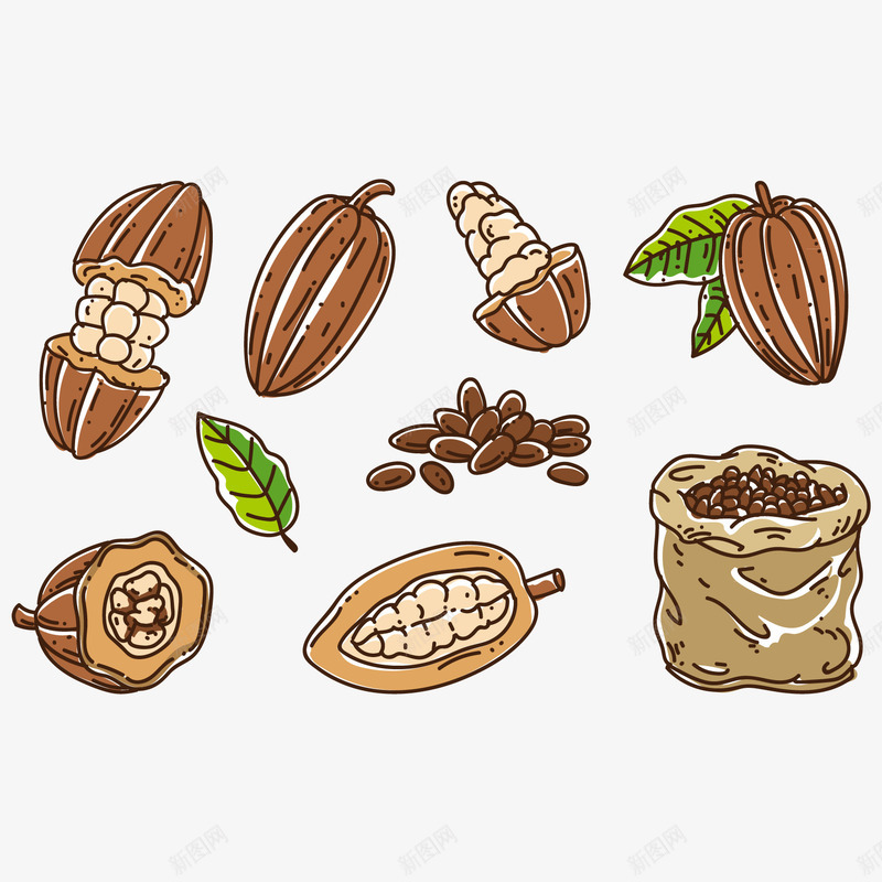 真实的可可豆png免抠素材_新图网 https://ixintu.com 可可豆 绿叶 豆子 麻袋