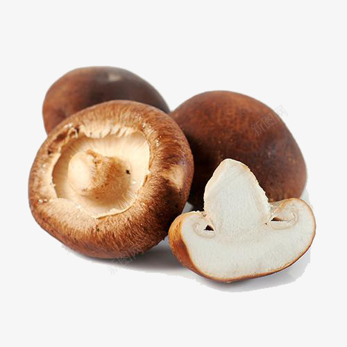 菌菇香菇png免抠素材_新图网 https://ixintu.com 产品实物 切开的香菇 可爱香菇 新鲜香菇 香菇