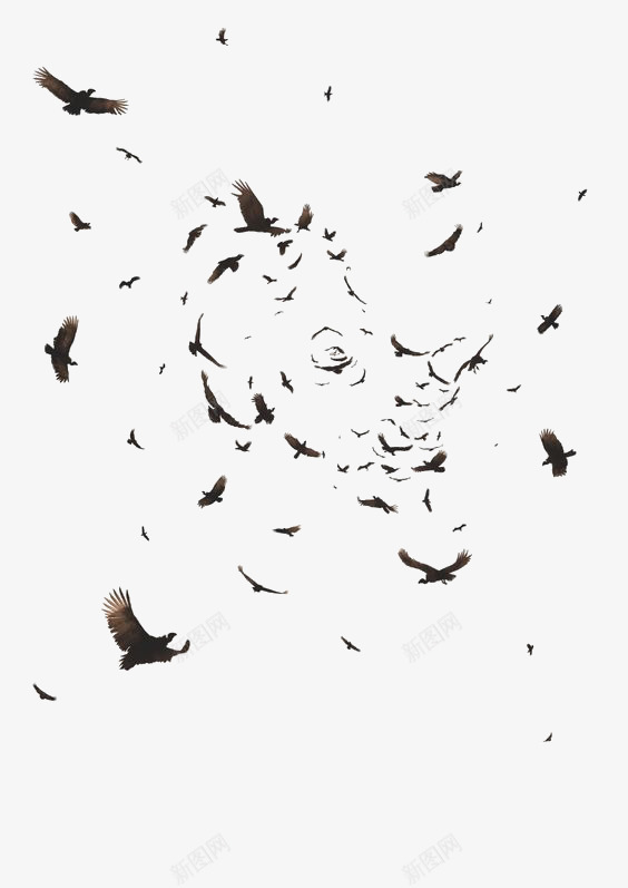 飞翔的乌鸦png免抠素材_新图网 https://ixintu.com 乌鸦 乌鸦图案 乌鸦飞过 创意 唯美 百鸟图 设计感 鸟群 黑色