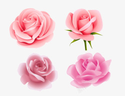 粉红花瓣玫瑰免费高清图片