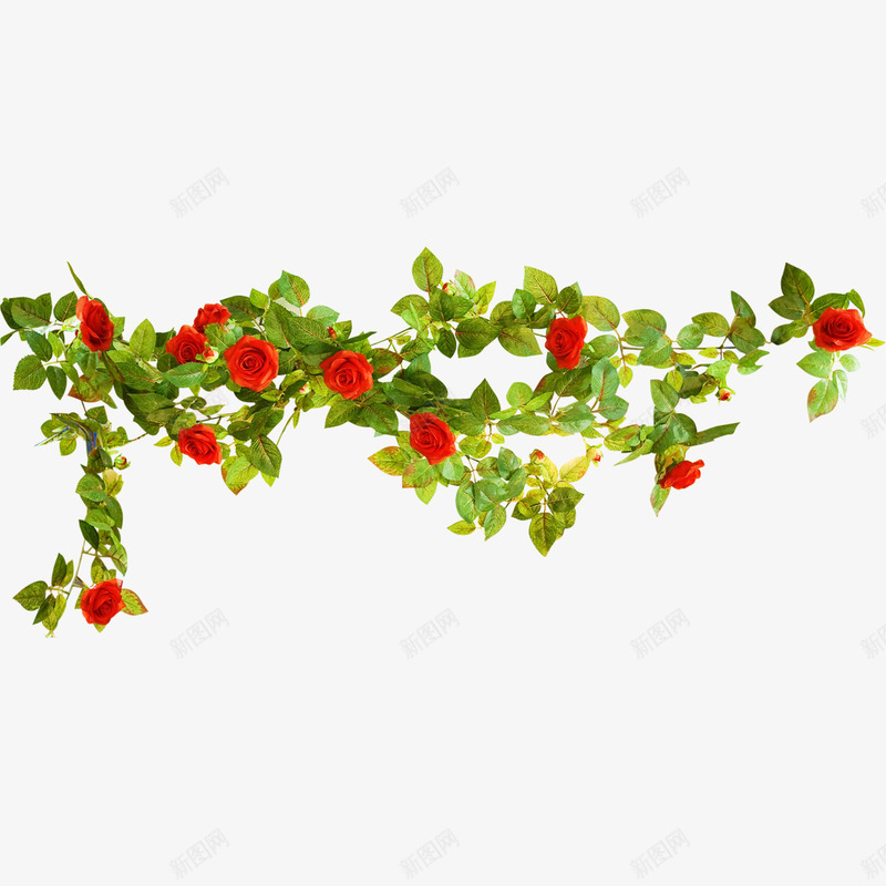 绿色藤蔓红色花朵装饰png免抠素材_新图网 https://ixintu.com 红色花朵 绿色藤蔓 花草装饰 装饰素材